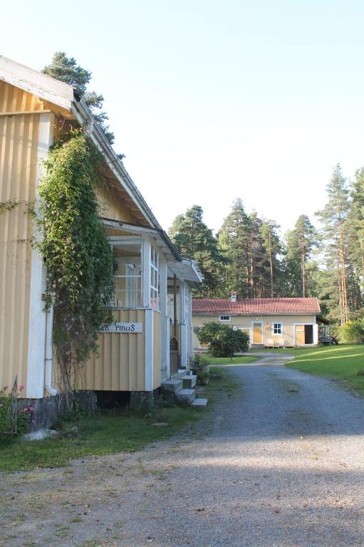 B&B Pinus Mäntyharju Extérieur photo